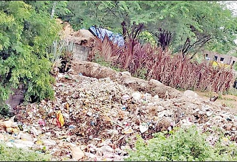 மாம்பழ கழிவுகள் கொட்டப்படுவதால் சுகாதாரக்கேடு - பொதுமக்கள் புகார்