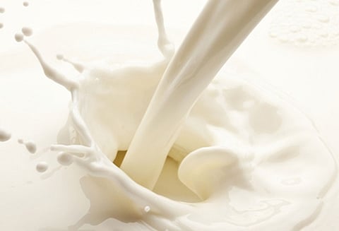 பால் விலை குறைகிறது கூட்டுறவு சங்கத்தினர் திடீர் முடிவு