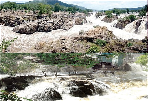 கபினி அணையில் இருந்து திறக்கப்பட்ட தண்ணீர் தமிழகம் வந்தது