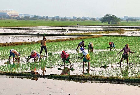 2022-ம் ஆண்டுக்குள் விவசாயிகளின் வருமானம் இரு மடங்காக உயரும் - பிரதமர் மோடி உறுதி