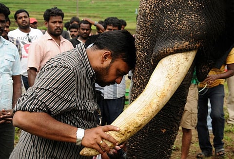 கும்கி-2