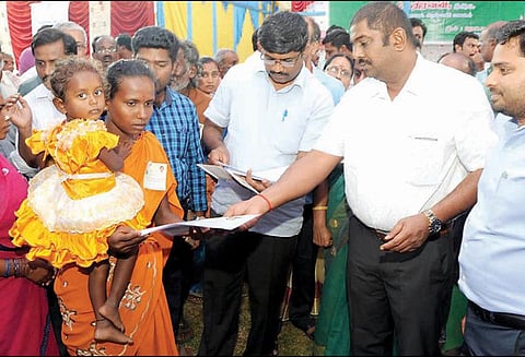205 பயனாளிகளுக்கு நலத்திட்ட உதவிகள் - கலெக்டர் கதிரவன் வழங்கினார்