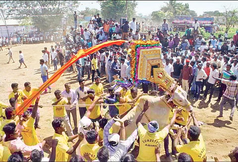 உத்தனப்பள்ளி அருகே 300 காளைகள் பங்கேற்ற எருது விடும் விழா