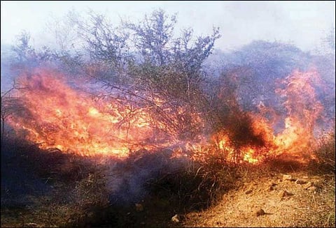 ஊத்தங்கரை அருகே ஒன்னகரை காப்புக்காட்டில் தீ