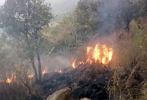 குரங்கணி காட்டுத்தீ; சிகிச்சை அளிக்க தயார் நிலையில் 6 மருத்துவ குழுக்கள், 13 ஆம்புலன்சுகள்: தேனி ஆட்சியர்