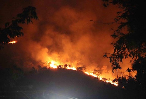 குரங்கணி காட்டுத்தீயில் சிக்கி 9 பேர் உயிரிழப்பு: தேனி ஆட்சியர் பல்லவி பல்தேவ் தகவல்