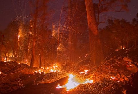 குரங்கணி காட்டுத்தீ சம்பவம்: மலையேறும் முடிவை கைவிட்டதனால் தப்பி பிழைத்த 3 பேர்