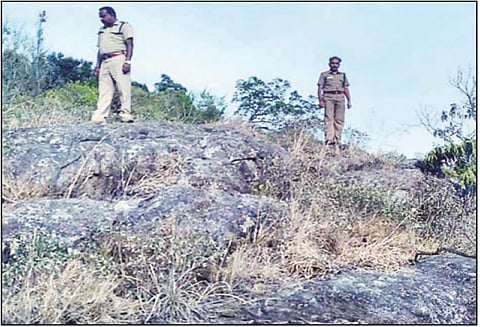 குரங்கணி தீ விபத்து எதிரொலி: பக்காசூரன் மலையில் வனத்துறையினர் ஆய்வு