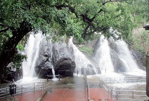 மேற்குத்தொடர்ச்சி மலைப்பகுதியில் பலத்த மழை: குற்றாலம் அருவிகளில் வெள்ளப்பெருக்கு சுற்றுலா பயணிகள் குளிக்க தடை