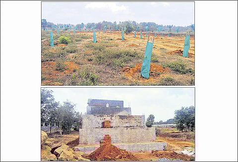 வண்டலூரில் ரூ.2 கோடி செலவில் 300 வகை மரங்களுடன் மரப்பூங்கா