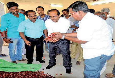 தேசிய வேளாண் சந்தை திட்டத்தின்கீழ் விவசாயிகள் நேரடியாக பயன்பெறுகின்றனர் கலெக்டர் நடராஜன் தகவல்