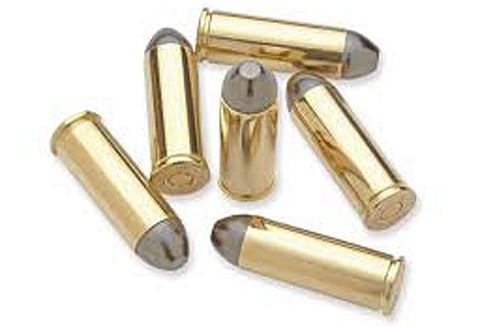 நாசிக் திரிம்பகேஷ்வர் கோவில் அருகே குவியலாக துப்பாக்கி தோட்டாக்கள் கிடந்ததால் பரபரப்பு