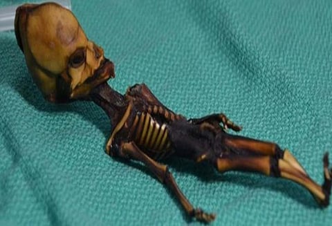 வேற்று கிரகவாசியா? 6 அங்குல மம்மி பிறழ்வு கொண்ட புதிதாக பிறந்த குழந்தையாக இருக்கலாம் ஆய்வில் தகவல்