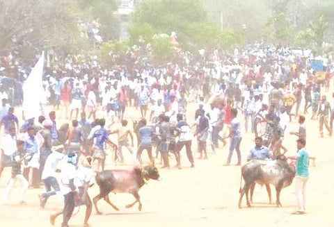 கோவில் திருவிழாவையொட்டி மஞ்சுவிரட்டு காளைகளை அடக்கியவர்களுக்கு பரிசு