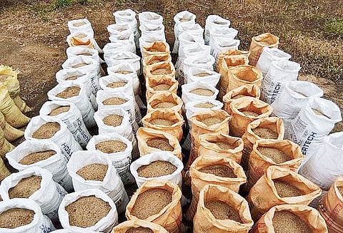 சோரியாங்குப்பத்தில் பதுக்கி வைத்திருந்த 44 யூனிட் ஆற்று மணல் பறிமுதல்