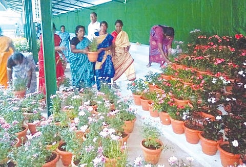 ஏற்காட்டில் கோடைவிழா-மலர் கண்காட்சி எடப்பாடி பழனிசாமி நாளை தொடங்கி வைக்கிறார்