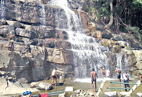 தொடர்மழை எதிரொலி : மேகமலை அருவிக்கு நீர்வரத்து