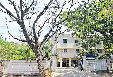 சாலையோரம் உள்ள பட்டுப்போன மரங்களை அகற்ற கோரிக்கை