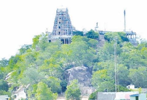 விராலிமலை முருகன் கோவிலில் வைகாசி விசாக திருவிழா இன்று கொடியேற்றத்துடன் தொடங்குகிறது