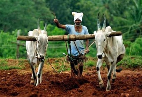 விவசாயிகள் மண்வள அட்டை பெற்று பயன்பெறுங்கள் கலெக்டர் தகவல்