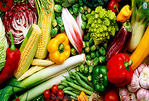 காட்டெருமைகள் நடமாட்டத்தால் காய்கறி சாகுபடி பாதிப்பு