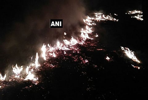 உத்தரகாண்ட்டில் பயங்கர காட்டுத்தீ