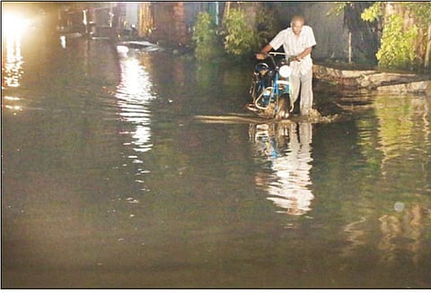 சூறாவளி காற்றுடன் பலத்த மழை: 650 கோழிகள் சாவு