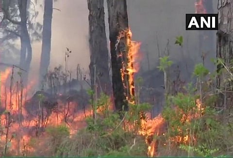 ரஜோரியில் உள்ள காட்டில் பயங்கர தீ விபத்து