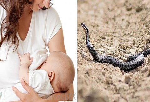 பாம்பு கடித்தது தெரியாமல் தாய்ப்பால் கொடுத்த தாய் - குழந்தை பலி