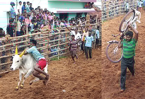 மணப்பாறை அருகே நடைபெற்ற ஜல்லிக்கட்டில் காளைகள் முட்டியதில் 14 பேர் காயம்
