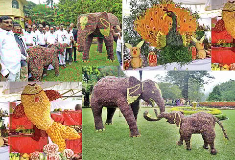 ஒரு டன் திராட்சைகளால் உருவான யானைகள் சுற்றுலா பயணிகளை வெகுவாக கவர்ந்தது