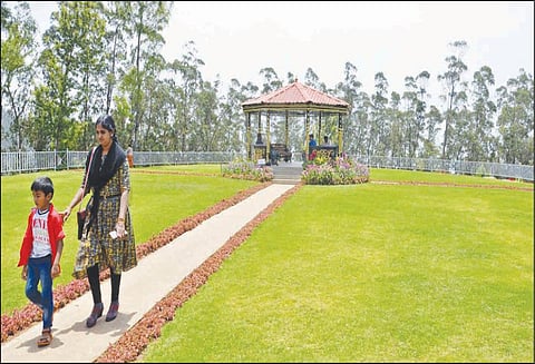 தேயிலை தூள் உற்பத்தியை அறிந்து கொள்ள ஊட்டி தேயிலை பூங்காவில் தொழிற்சாலை அமைக்க வேண்டும்