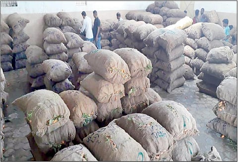 கேரட் விலை வீழ்ச்சி; விவசாயிகள் கவலை