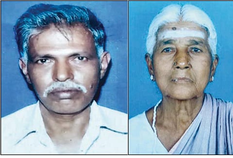 நல்லூர் அருகே சரக்கு வாகனம் மோதியதில் தாய்-மகன் பரிதாப சாவு