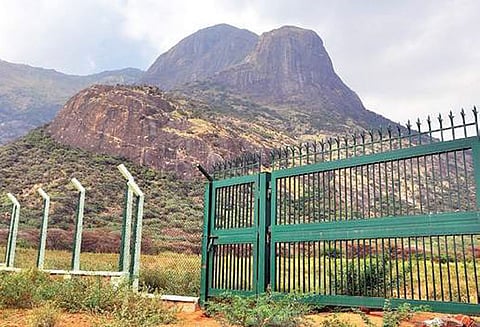 தேனி மாவட்டத்தில் நியூட்ரினோ ஆய்வு திட்டத்தை நிறைவேற்ற தேசிய பசுமை தீர்ப்பாயம் நிபந்தனை “வனவிலங்கு வாரியத்தின் அனுமதியை பெற வேண்டும்”