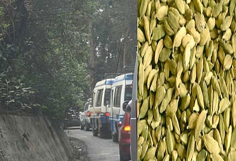 தமிழக-கேரள எல்லையில் வணிகவரி சோதனை சாவடி இல்லாததால் ஏலக்காய் கடத்தல் அதிகரிப்பு