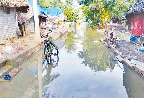 திருத்துறைப்பூண்டி வீரன்நகர் பகுதியில் மழைநீர் வடியாததால் தொற்றுநோய் பரவும் அபாயம்