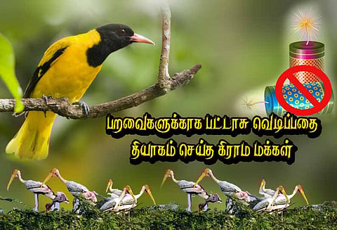 தேர்த்தங்கல் சரணாலயத்திற்கு வந்துள்ள பறவைகளுக்காக பட்டாசு வெடிப்பதை தியாகம் செய்யும் கிராம மக்கள்