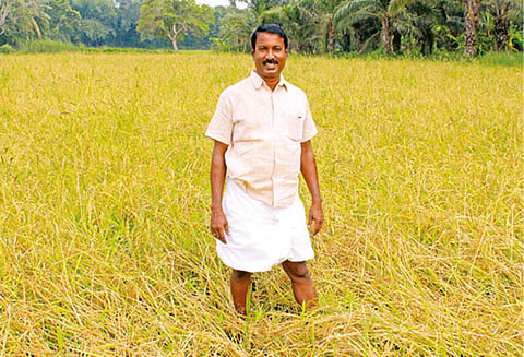 நீங்களும் ஆகலாம் இயற்கை விவசாயி : சில்லறை வியாபாரத்தில் சிறகடிக்கும் தஞ்சை விவசாயி