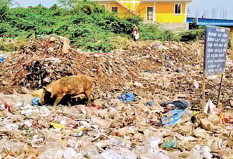 சுங்குவார்சத்திரம் அருகே குவிந்து கிடக்கும் குப்பையால் நோய் பரவும் அபாயம்
