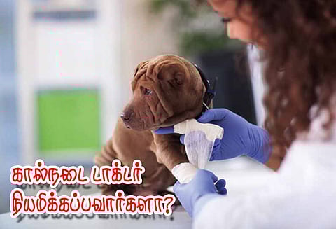 சேரம்பாடியில்: கால்நடை ஆஸ்பத்திரிக்கு டாக்டர் நியமிக்கப்படுவாரா? - கிராம மக்கள் எதிர்பார்ப்பு