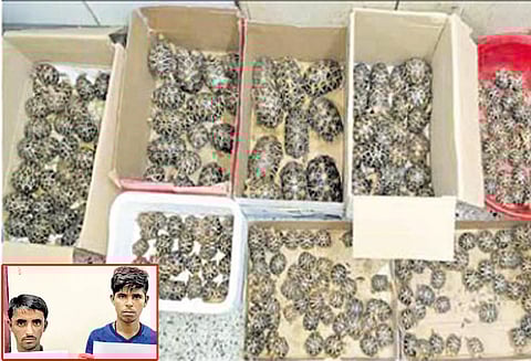 ரூ.1½ கோடி மதிப்புள்ள நட்சத்திர ஆமைகள் பறிமுதல் : 2 பேர் கைது