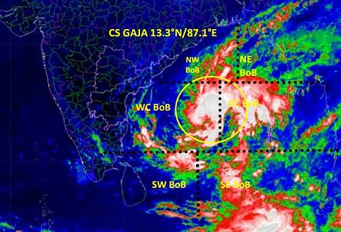 நாளை மாலை கஜா புயல் கரையைக் கடக்கும் என எதிர்பார்ப்பு : இந்திய வானிலை ஆய்வு மையம்
