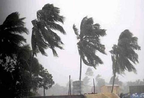 நாகை மாவட்டத்தில் கஜா புயலுக்கு 7 பேர் பலி