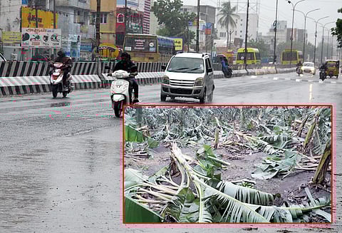‘கஜா’ புயல் காரணமாக பெரம்பலூரில் கன மழை சூறாவளி காற்றால் வாழைகள் சாய்ந்தன