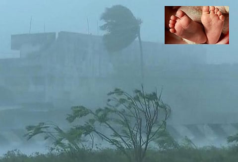 திருவாரூர் மாவட்டத்தில் ‘கஜா’ புயலுக்கு மேலும் 5 பேர் பலி