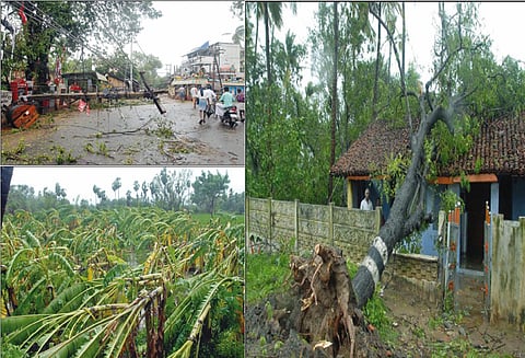 8 மணிநேரத்துக்கு மேலாக வீசிய புயல் காற்று: 3 ஆயிரம் மின்கம்பங்கள் சாய்ந்தன - பொதுமக்கள் கடும் அவதி