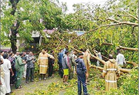 திருவாரூர் மாவட்டத்தில் மீட்பு பணிகள் தொய்வின்றி நடக்கின்றன - அமைச்சர் காமராஜ் பேட்டி