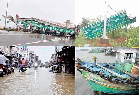 புதுக்கோட்டையை பந்தாடிய ‘கஜா’ புயல் மரங்கள் சாய்ந்தன; மின்கம்பங்கள் சேதம்