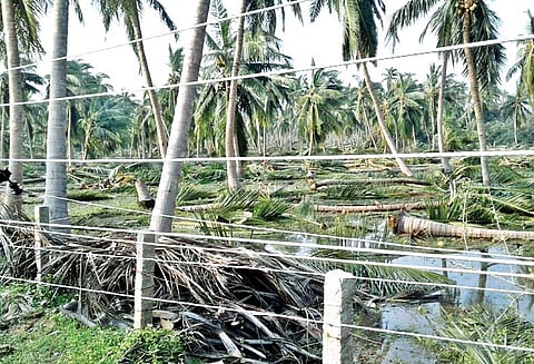 சேத விவரங்களை கணக்கெடுக்காததால் ஆத்திரம்: அதிகாரிகளை முற்றுகையிட்டு திருப்பி அனுப்பிய கிராம மக்கள்